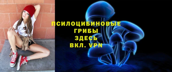 твердый Вяземский