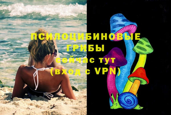 ПСИЛОЦИБИНОВЫЕ ГРИБЫ Михайлов