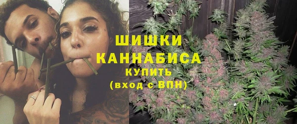 твердый Вяземский