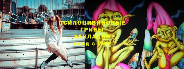 ГАЛЛЮЦИНОГЕННЫЕ ГРИБЫ Волоколамск